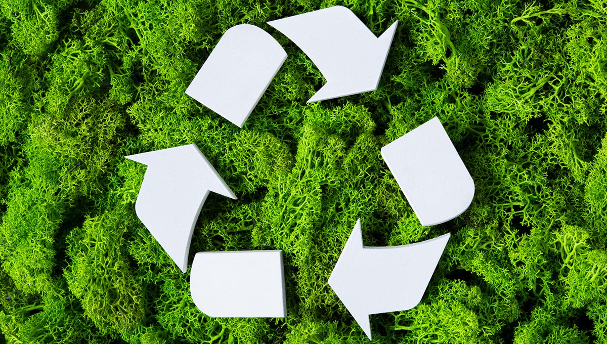 a group of white arrows on green moss